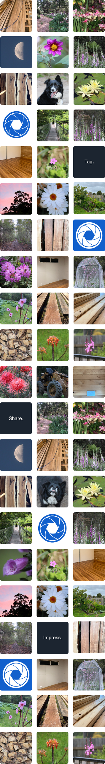 Palixo Image Grid